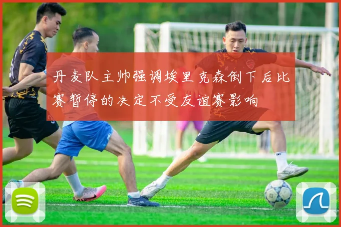 丹麦队主帅强调埃里克森倒下后比赛暂停的决定不受友谊赛影响